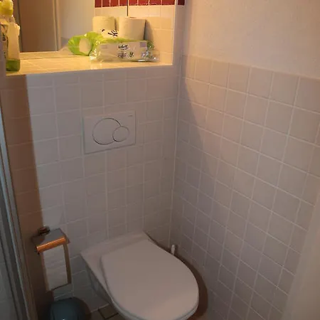 公寓 鲁斯蒂科 *