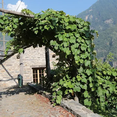 Apartment Rustico